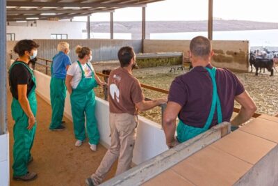 Fuerteventura: Artisan Goat's Cheese Making at Local Farm - Arrival coffee and meeting the farm team