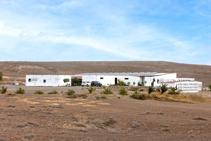 Fuerteventura: Artisan Goat's Cheese Making at Local Farm - Duration, group size, and what to realistically expect
