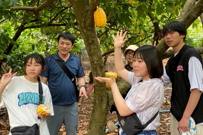 Full Day Experience to Farm and Chocolate - Making and decorating your own chocolate bar