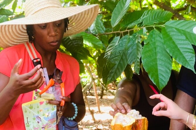 Full Day Experience to Farm and Chocolate - Who this full-day farm and chocolate tour is for