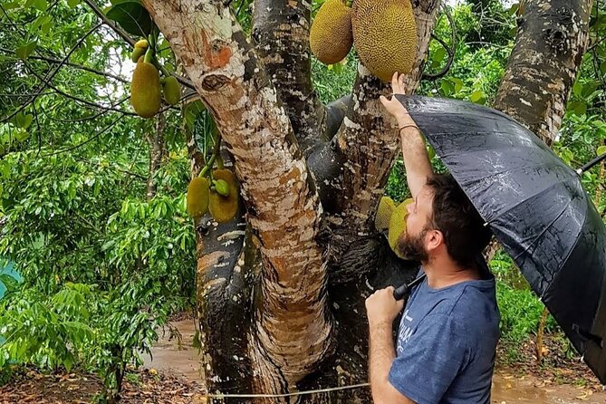 Full Day Private Stone Town, Spice Farm & Prison Island Tour - An 8-hour private day that actually connects the dots