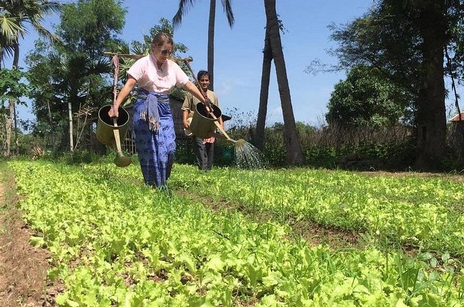 Full Day Siem Reap Farm Tour with Cooking Class and Monk Blessing - Cooking class: farm-to-table in the most literal way