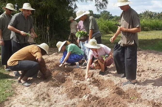 Full Day Siem Reap Farm Tour with Cooking Class and Monk Blessing - Price and value: why $45 feels fair for this full package