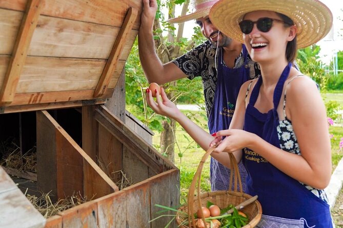 Full-Day Thai Cooking Class with Grandma - Market and Farm Tour - Organic Farm Time: Rice Fields, Herb Gardens, and Chicken Eggs