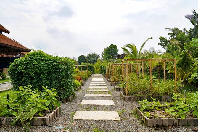 Full-Day Thai Cooking Class with Grandma - Market and Farm Tour - The Open-Air Kitchen Setup: Your Own Station Makes It Click