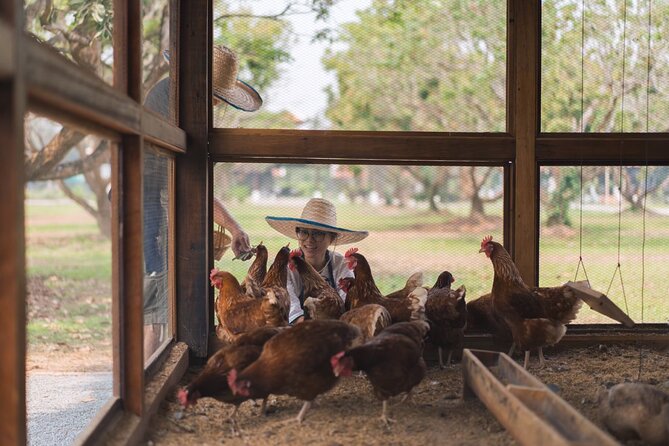 Full-Day Thai Cooking Class with Grandma - Market and Farm Tour - Price and Value: What $58.33 Buys You in Chiang Mai