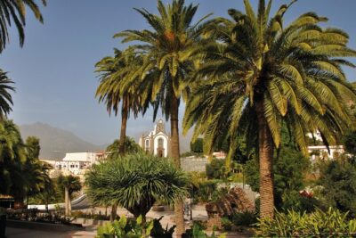 Full-Day Tour Exploring History, Nature and Aloe Vera Farm - Guayadeque and Agüimes: Cave Life in a Living Valley