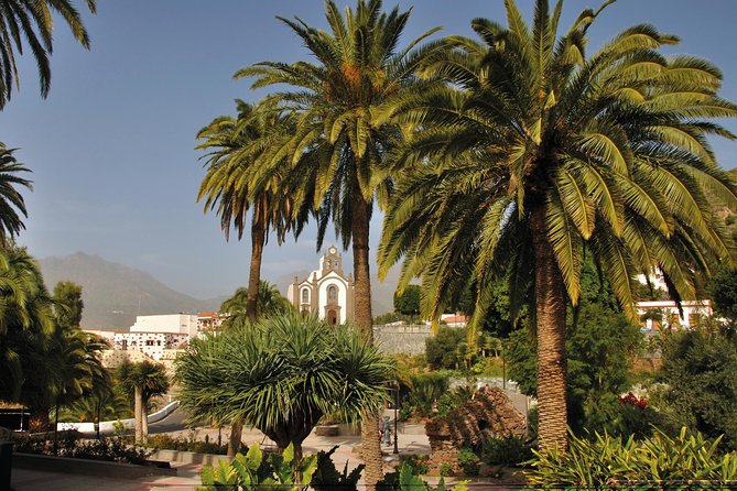 Full-Day Tour Exploring History, Nature and Aloe Vera Farm - Guayadeque and Agüimes: Cave Life in a Living Valley