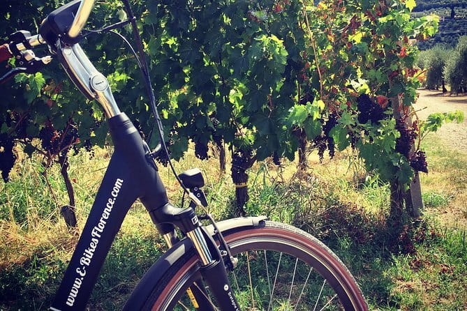 Full-Day Tuscany and Chianti Hills Bike Tour With Lunch at Farm - Bikes, Helmets, and the Real Meaning of “Intermediate”