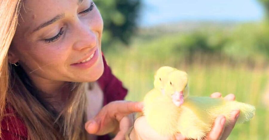 Gallura: Picnic on a Farm with Animals - The Picnic Tasting: Sardinian Classics in an Open-Air Setting