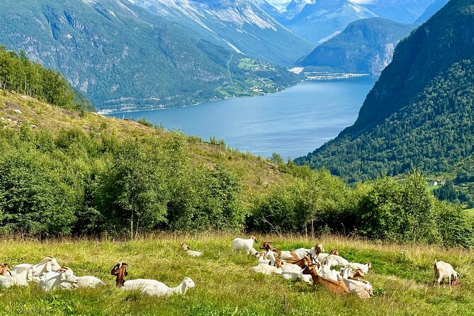 Geiranger by Royal route, 5 hours with visiting a high-mountain farm - Stop 3: Eidsvatnet Alpine Lake and the Convenient Toilet Break