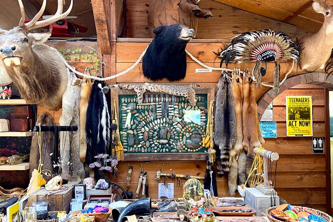 Gem Mining and Goat Farm Walking Tour in Hendersonville - NC’s Largest Crystal and Fossil Store: The Shopping Angle