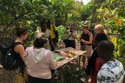 Ghana Eastern Explorer - Boti Falls, Aburi Gardens & Tetther Quarshie Cocoa Farm - Boti Falls in Manya Krobo: twin falls called female and male