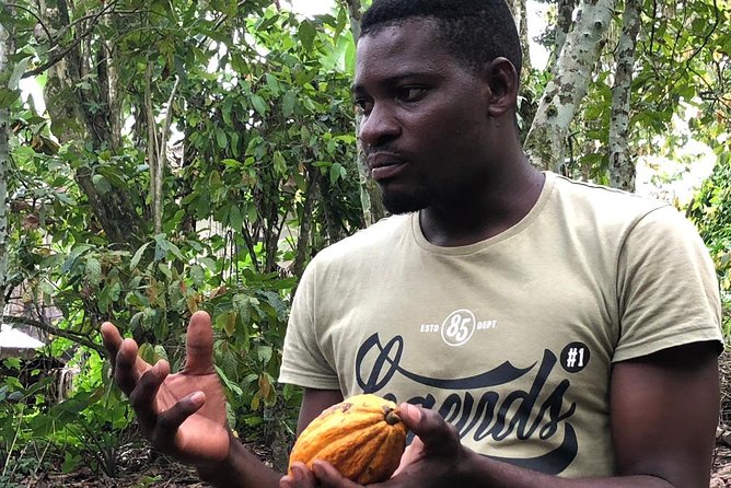 Ghana Eastern Explorer - Boti Falls, Aburi Gardens & Tetther Quarshie Cocoa Farm - Who should book this Ghana Eastern Explorer day trip?