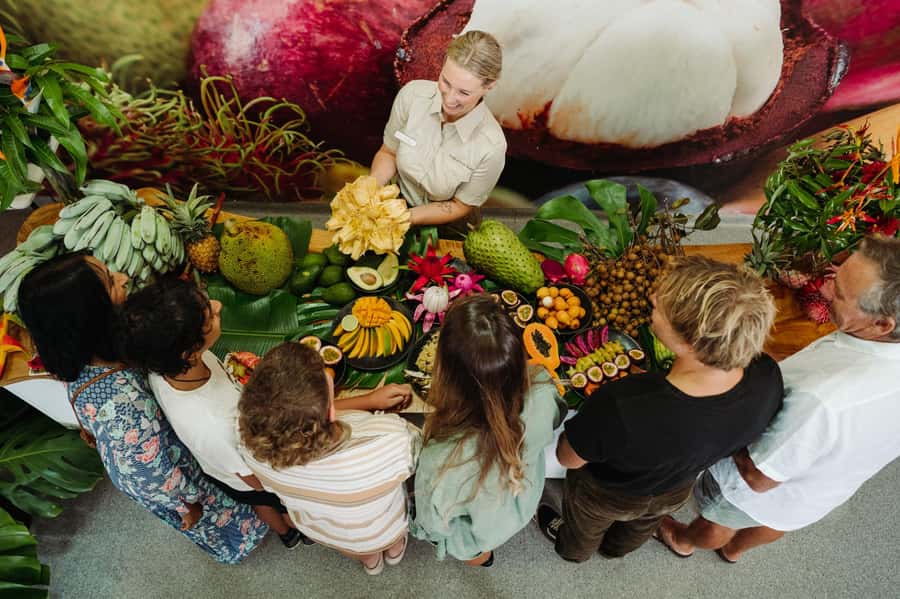 Gold Coast: Tropical Fruit World Full Farm Tour - Key highlights you’ll actually remember