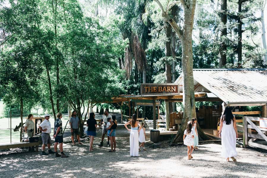 Gold Coast: Tropical Fruit World Full Farm Tour - Cudgen Creek boat cruise: native plants, turtles, koalas, and ducks