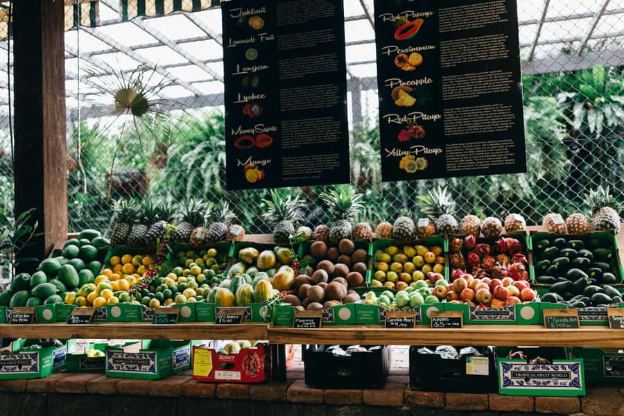 Gold Coast: Tropical Fruit World Full Farm Tour - Time, flow, and what 150 minutes feels like
