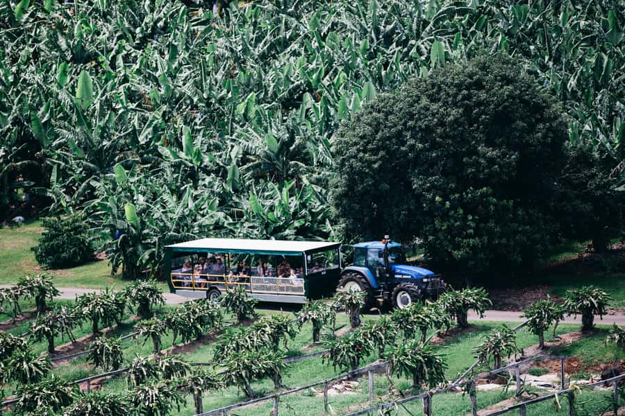 Gold Coast: Tropical Fruit World Full Farm Tour - Price and value: what $55 covers (and what it doesn’t)