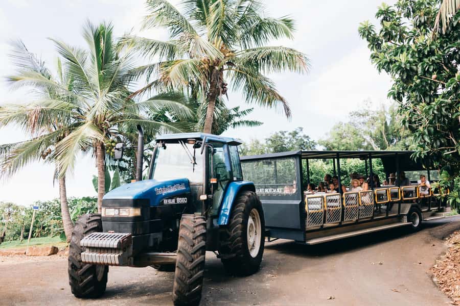 Gold Coast: Tropical Fruit World Full Farm Tour - How the fruit tasting works (and what makes it worth the money)