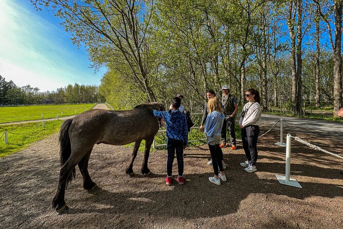 Golden Circle and Lunch at Fridheimar Tomato Farm - with photos - How long is enough time at each stop?