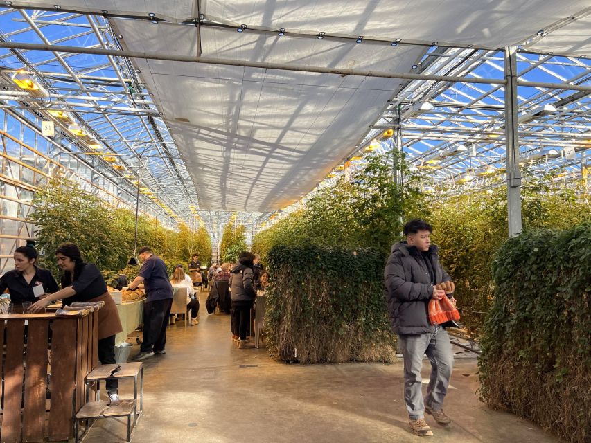 Golden circle, hot spring bakery, tomato farm private tour - Price and what $1,520 per group gets you (up to 4)