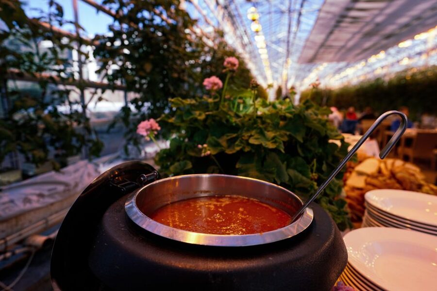 Golden Circle & Lunch at Fridheimar Tomato Farm- with photos - Key things I’d plan around