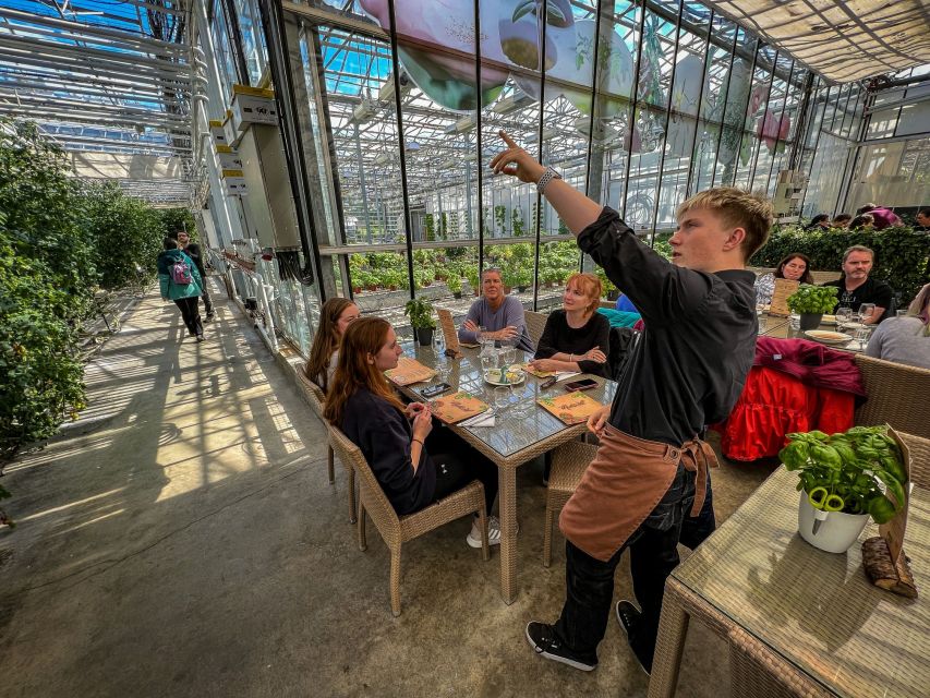 Golden Circle & Lunch at Fridheimar Tomato Farm- with photos - Gullfoss: The Waterfall That’s Tied to Iceland’s Pressure and Fissures