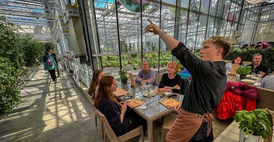 Golden Circle & Lunch at Fridheimar Tomato Farm- with photos - How Long It Feels: 7 Hours of Golden Circle Power (and a Late Meal)