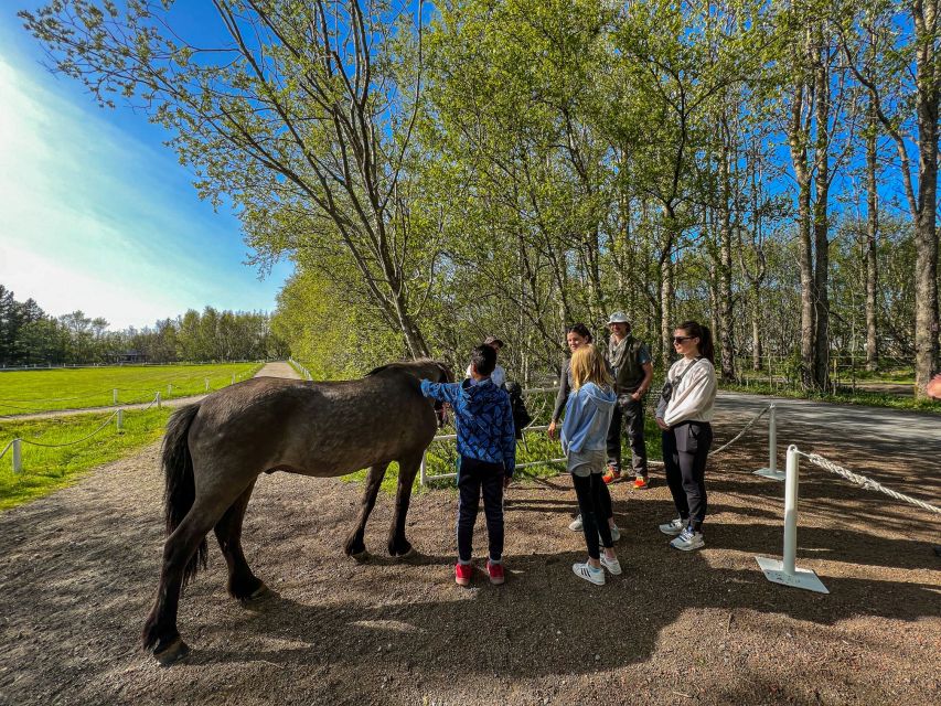 Golden Circle & Lunch at Fridheimar Tomato Farm- with photos - Price and Value: What You’re Really Paying for at $180