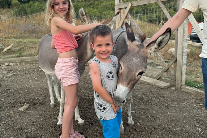 Gourmet Lunch Farm Tour with Cooking Class - Why This Farm Day Above Sarandë Feels Different