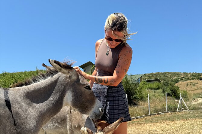 Gourmet Lunch Farm Tour with Cooking Class - Getting There: Sarandë Start, 10:30 am, and Pickup Reality