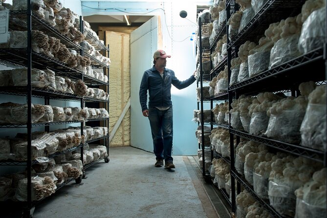 Gourmet Mushroom Farm Tour in Tennessee - Logistics That Actually Help: Finding It, Timing It, Getting Around