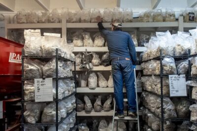 Gourmet Mushroom Farm Tour in Tennessee - The 1-Hour Itinerary at 5538 Clarksville Pike (Start to Finish)