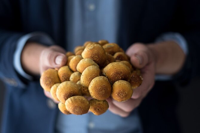 Gourmet Mushroom Farm Tour in Tennessee - Who Should Book This (and Who Might Skip It)