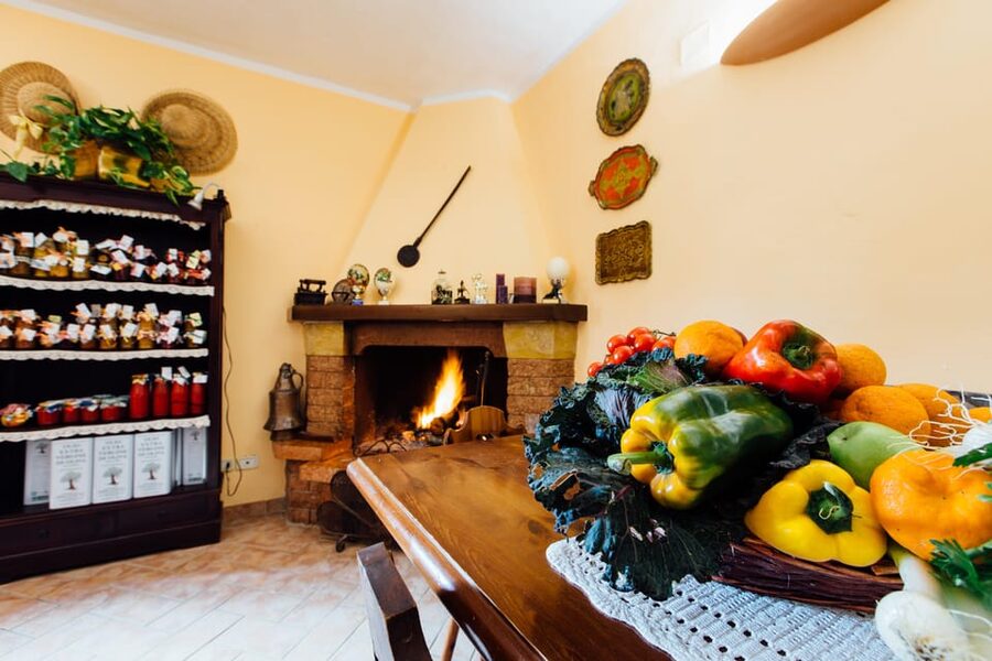Grosseto: visit the family farm with tasting of local food - Who This Works Best for Families and Food Lovers