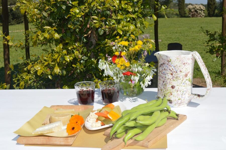 Grosseto: visit the family farm with tasting of local food - Learning About the Animals and the Plantations