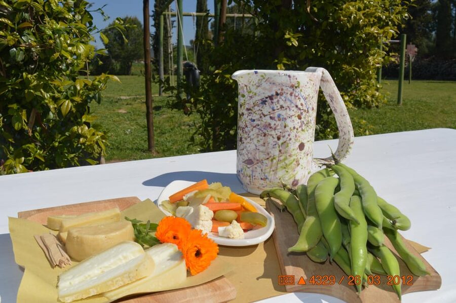 Grosseto: visit the family farm with tasting of local food - Logistics You Should Think About Before You Go
