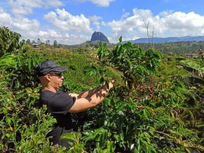 Guatapé & Coffee Farm, all in one day - El Peñol fruit tasting: the easiest way to understand local flavor