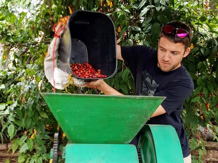 Guatapé & Coffee Farm, all in one day - Who this tour fits best (and who should pass)