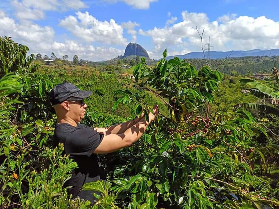 Guatapé & Coffee Farm, all in one day - El Peñol fruit tasting: the easiest way to understand local flavor