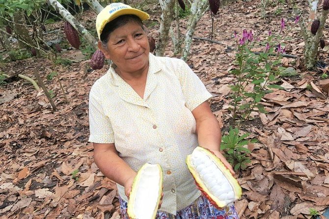 Guayaquil to Cuenca one-way tour with Cajas Park and a Cacao Farm visit - A one-way ride that feels like more than transit