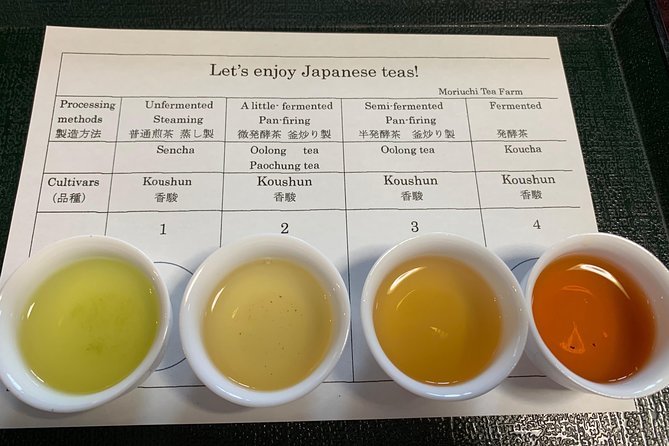 Guided Bike Tour to a Green Tea Farm in Shizuoka (not e-bikes) - Key highlights you’ll feel right away