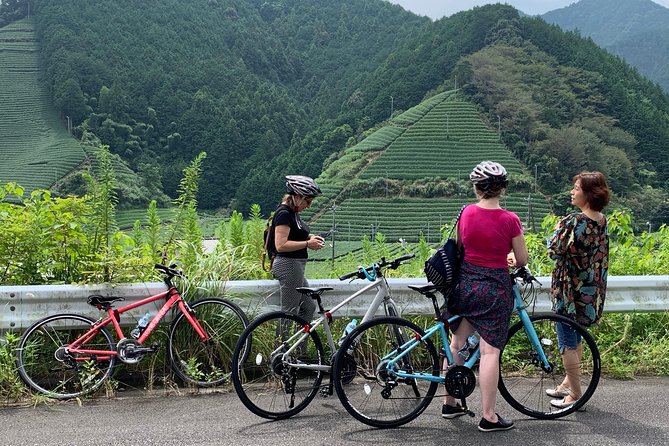 Guided Bike Tour to a Green Tea Farm in Shizuoka (not e-bikes) - Why this Shizuoka green tea farm bike tour works so well