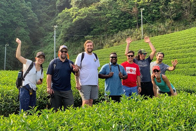 Guided Bike Tour to a Green Tea Farm in Shizuoka (not e-bikes) - Stop after the farm: Sengen Shrine or Sumpu Castle Park (your choice)