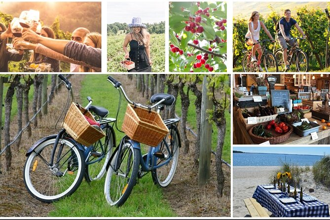 Guided Farm and Wine Country Bike Tour in Mattituck NY - Key highlights at a glance
