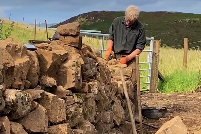 Guided Hebridean Farm Hike near Tobermory, Isle of Mull, Scotland - Passing Highland Ponies, Shetland Sheep, and Seasonal Wildlife