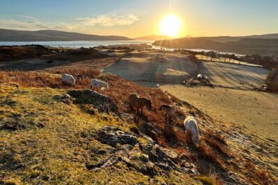 Guided Hebridean Farm Hike near Tobermory, Isle of Mull, Scotland - Price and Value for a 1 Hour 30 Minute Private Hike