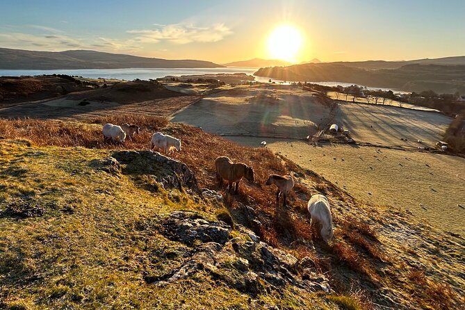 Guided Hebridean Farm Hike near Tobermory, Isle of Mull, Scotland - Price and Value for a 1 Hour 30 Minute Private Hike