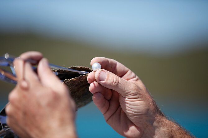 Guided Paspaley Pearl Farm Tour with Return Transfers - Key Highlights to Know Before You Go