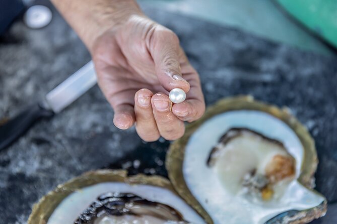 Guided Paspaley Pearl Farm Tour with Return Transfers - Why Roebuck Bay Feels Like the Real Deal for Pearls